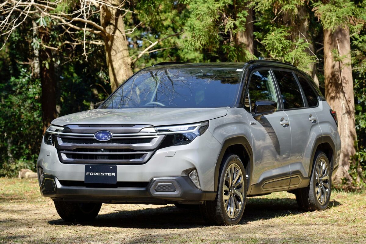 img_d0afb2b709433ad0e7375d113c