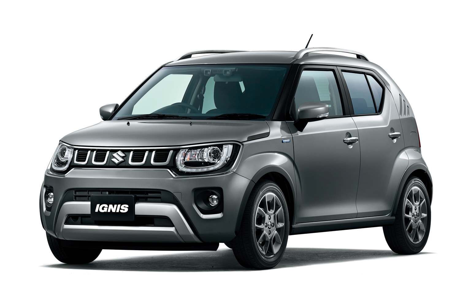 イグニスです。 img_d22cfedd680e6dbc00d2ce5827