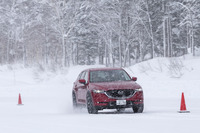 特別にアクセルペダルの操作に対して反応を鈍くしたクルマと反応を過敏にしたクルマ、ブレーキのサーボ量を落とした状態のクルマでスラロームを試す。