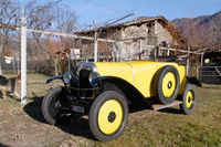 シトロエンと語感の似た「シトロン(Citron:レモン)」から、レモンイエローの標準色も設定された。