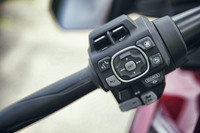 左側のハンドルには車載ディスプレイやオーディオのコントローラー、ウオーキングモードの操作スイッチなどが備わる。