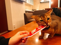 それにしても、「CIAOちゅ~る」に対するネコの食いつきっぷりは、何かイケナイモノが入っているんじゃと疑ってしまうほど……!