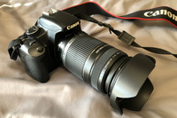 三沢基地で航空機の撮影に使用したカメラは、愛用の「EOS Kiss X2」(中古品)。通常の撮影ならスマホのほうがはるかに上だが、ズーム付きゆえに登板させた。