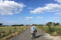 チャイルドシート付きの電動ママチャリ(笑)で黒島観光。ホントに牛しかいなかった。