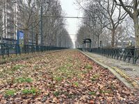 廃線となったトリノ市電跡。2025年1月筆者撮影。