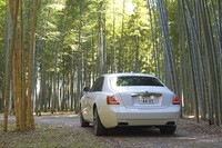 リアまわりでは、ルーフからトランクリッドにかけてのなだらかな曲線が特徴的。