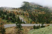 横手山ドライブインから国道292号線を見下ろすの図。軽井沢~志賀高原の一帯というと、スキーだ買い物だ温泉だというイメージが強いが、個人的には「クルマで行くと気持ちいい場所」というイメージのほうが強い。見よ。このつづら折れを。