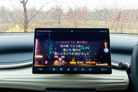 ちあきなおみの『喝采』のようなカラオケで人気の曲はほとんどがカバーされているようだ。黒いふちどりがありました~♪