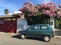 「パンダ」は「ラ・パンダ」というだけで、動物のパンダと区別してもらえる。