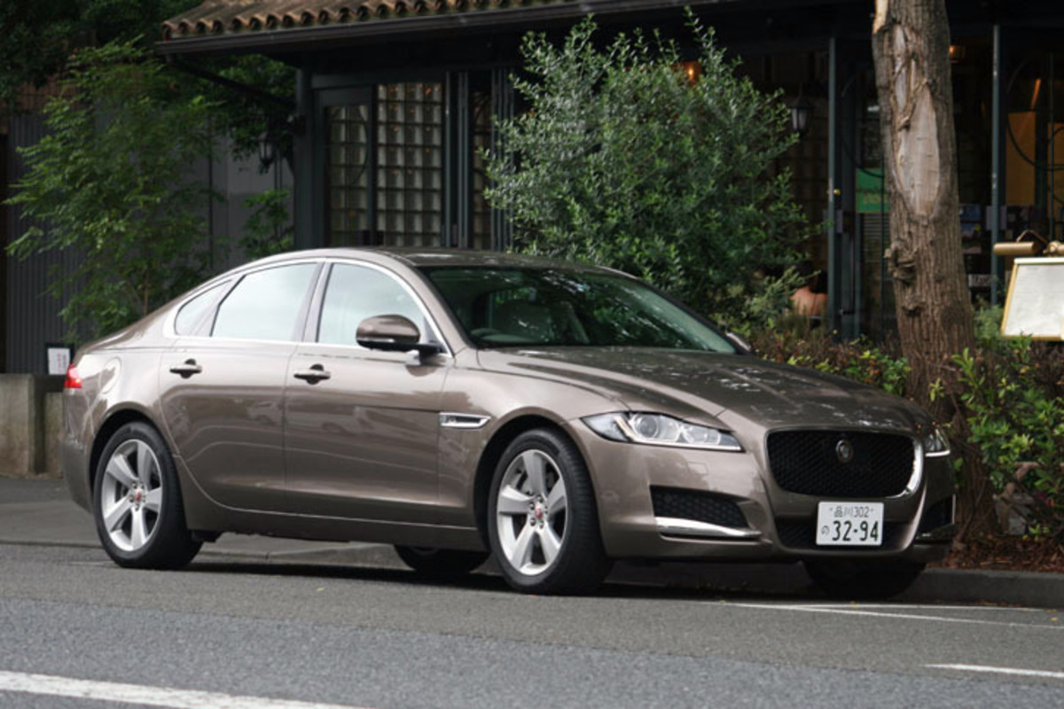 img_fa1c764c13cf3eab99f42af8c1