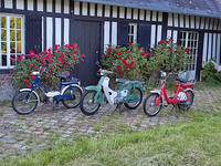 フランスの知人によるホンダ製二輪コレクション。左から「PF50アミーゴ」「スーパーカブC50」そして「P50」。しかし、「エクスプレス(ロードパルの輸出名)」はない。2022年夏撮影。