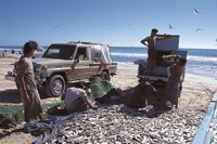 中近東、アフリカ、東アジア/オセアニアを中心に、世界のさまざまな国と地域で販売されてきた“70”系「ランドクルーザー」。写真はオマーンの漁村における、ランクルのある風景。