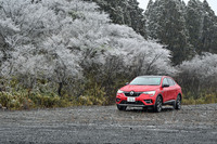 のどかな春の日に見えるが、拡大すると雨が激しく降っていることが分かる。