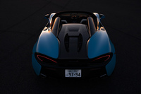 「570」シリーズのリアセクションはモデルによってデザインが大きく異なり、「570Sスパイダー」ではCピラーと一体となった2つのフェアリングが特徴となっている。