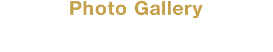 Photo Gallery 存在感あるデザインに触れる