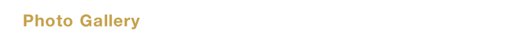 Photo Gallery 存在感あるデザインに触れる