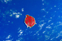 「トミーカイラZZ」は、かつてトミタ夢工場が生産していた同名のスポーツカーをベースに開発された、スポーツEVである。写真は“オリジナル”のトミーカイラZZから受け継がれた、亀のエンブレム。