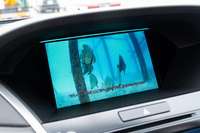「自動運転レベル3」の状態では、センターディスプレイで映像鑑賞も可能。試乗車には「撮影に使ってください」と、著作権フリーの海洋生物のDVDが載せられていた。