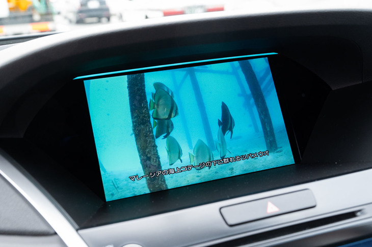 「自動運転レベル3」の状態では、センターディスプレイで映像鑑賞も可能。試乗車には「撮影に使ってください」と、著作権フリーの海洋生物のDVDが載せられていた。
