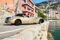 「ミツオカ・ヒミコ」の注文受け付け終了　約2時間で完売の画像