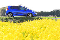 道中ですてきな菜の花畑を発見。黄色い花にブルーの「フィット」のボディーが映える。