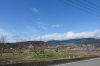 いや、マジで、ここどこだよ……。