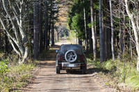 針葉樹が立ち並ぶ林道を行く「ディフェンダー110」。走行の様子はオフィシャルカメラマンによって撮影されており、イベント終了後に画像データが参加者にプレゼントされる。