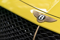 「バカラル」のフロントノーズに付けられた翼をモチーフとするベントレーのエンブレムは、ゴールドに輝いていた。