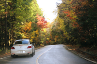 「ザ・ビートル ターボ」は疑似デフロックの「XDS」を標準装備。コーナリング中にフロント内輪のグリップ不足を検知すると、自動でブレーキをかけて空転を抑制。トラクションを回復させるという。
    