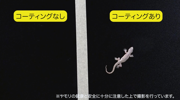 EXキーパー、ECOダイヤ、フレッシュキーパーの特徴である自浄効果は、汚れなどを引き寄せる“ファンデルワールス力”を極限まで小さくしたことによるもの。その効果をヤモリを使いわかりやすく説明したページ下部の動画は一見の価値あり。