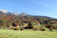 「ハイジランド」と名付けられているものの、今でもシュピリが物語の構想を練った時代と同じ風景が広がる。