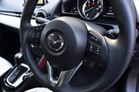 ステアリングホイールのスポーク部には、クルーズコントロールやオーディオなどの操作スイッチがずらり。
    