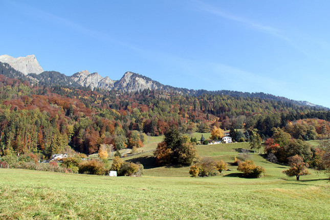 「ハイジランド」と名付けられているものの、今でもシュピリが物語の構想を練った時代と同じ風景が広がる。