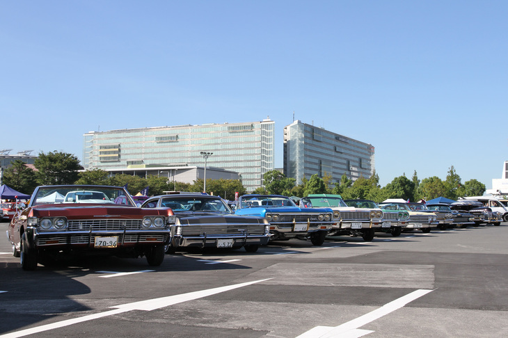 ズラリと並んだ、フルサイズのシボレーをベースとする、ローライダーと呼ばれる流派のカスタムカー。