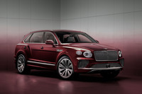 ルビーノ×グラビティグレー＆クリケットボール