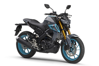 ヤマハが「YZF-R125」に続けて導入した、ネイキッドスタイルのロードスポーツ「MT-125 ABS」。高い走行パフォーマンスと手ごろな価格（49万5000円）との両立がうたわれている。
	 