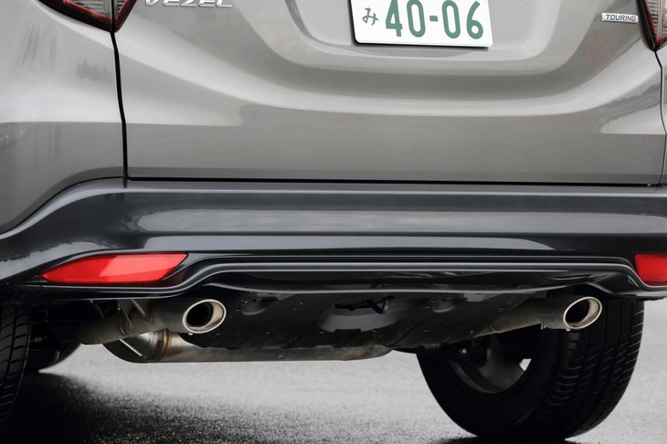 左右2本出しのマフラーと、グレーメタリックのロワガーニッシュがリアビューを印象づけている。