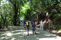 高尾山エコーリフトの山上駅から山頂へ向かう道。     