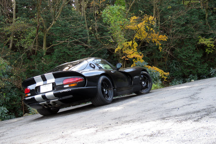 ターンパイクの中腹、湘南ビュー展望台で記念撮影。雨漏りしたり、スリップの危険を指摘されたり、「バイパー」はつくづく雨と相性の悪いクルマである。