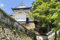 「備中松山城」は標高430mの臥牛山頂上付近に建ち、その別名は「天空の山城」である。日本で唯一天守が現存する山城で、江戸時代に建造された天守や二重やぐら、土塀の一部が国の重要文化財に指定されている。