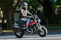 ライディングポジションは写真のとおりアップライトな姿勢で、非常に楽チン。ロータリー式セミATの操作も最初は戸惑うが、慣れれば楽でありがたい。