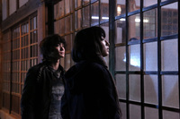 ©2015「太陽」製作委員会 