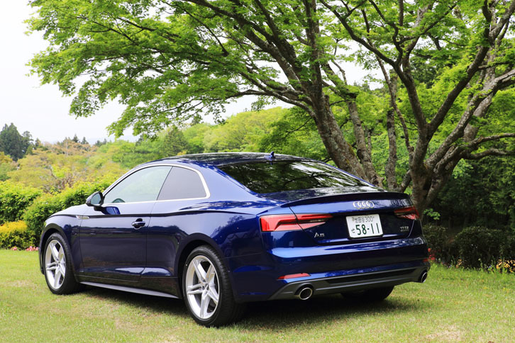 
	セダンの「アウディA4」とプラットフォームを共有する「A5クーペ」。兄弟車である5ドアハッチバック「A5スポーツバック」や、オープンモデル「A5カブリオレ」もラインナップされる。
	