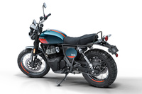 ベア650（ペトロール・グリーン）