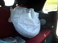 リアシートはタイヤ様のスペース！　まいったぜ。