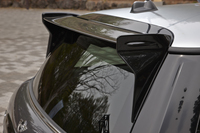 テールゲートに備えられたカーボン製のリアウイング。カーボン繊維特有の模様とも相まって、物々しい雰囲気を漂わせている。