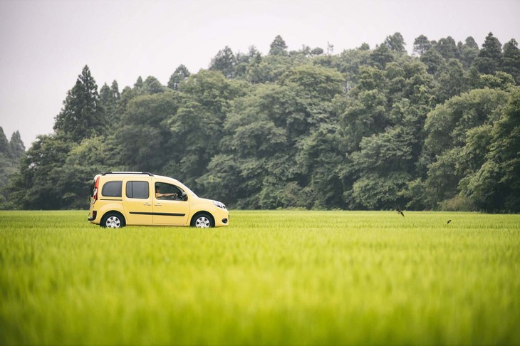 ハナシマ農園までの道すがら、通りかかった水田の美しさといったら……。いい風景との予期せぬ出会いも、ドライブの醍醐味（だいごみ）のひとつだ。