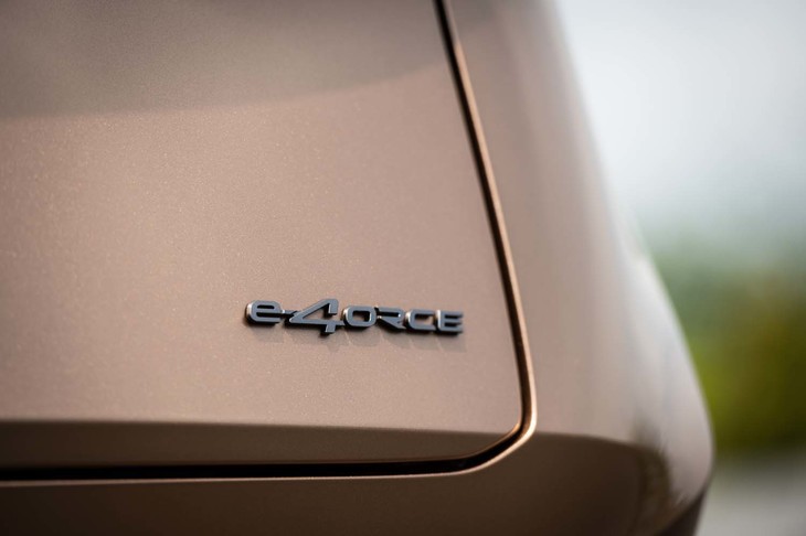 日産アリア（リアエンブレム）