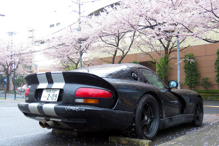 4月某日、新たにオープンした青葉珈琲店 三鷹店の駐車場にて。今年も桜の季節は過ぎてしまいましたね。桜って花そのものはキレイだけど、あまりにも季節感が強すぎでどーにも好きになれません。「もう春かよ！」ってせかされているような。読者諸兄姉の皆さまはいかがでしょうか？