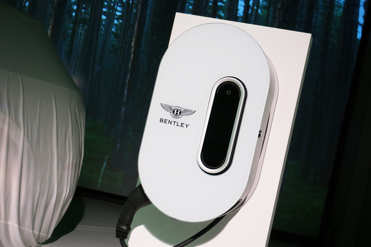 無償オプションとして用意されるウォールボックス（家庭用充電ユニット）。